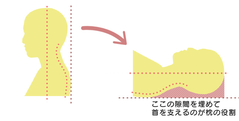 枕の役割